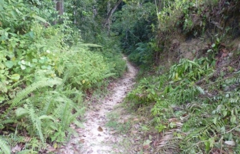 Uda Kiruwa